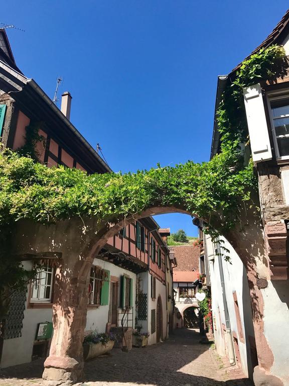 Les Authentics - La Maison D'Amelie Riquewihr Exteriér fotografie